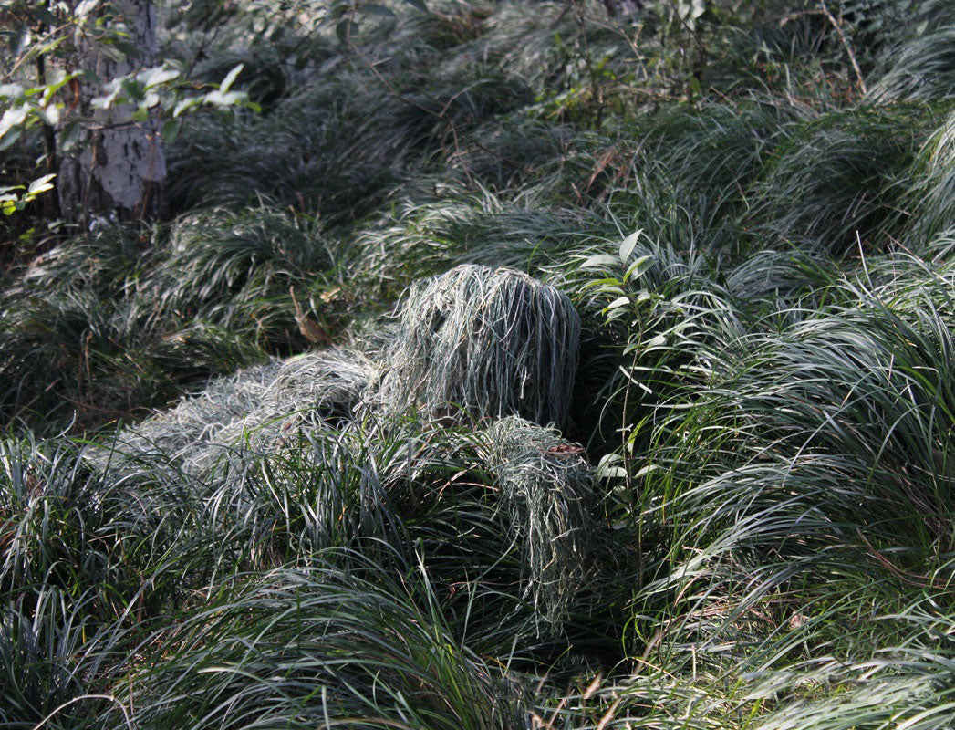 Jungle Outdoor Camouflage Suit