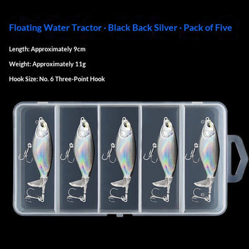 Black Back Silver