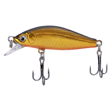 B blackbacked gold body