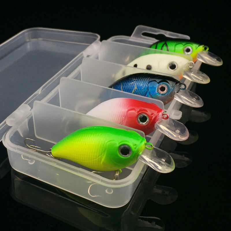 5Pcs Fishing Lure 5 Color Minnow Bait