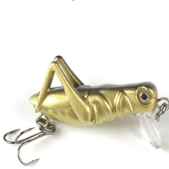 Simulation Cricket lure