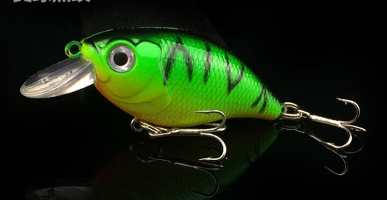 5Pcs Fishing Lure 5 Color Minnow Bait