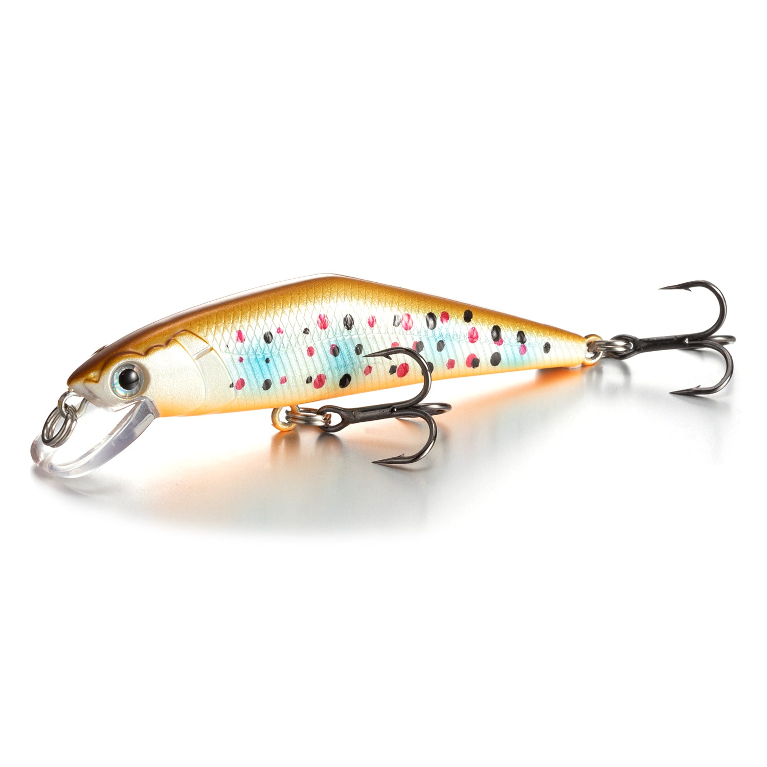 Warped Mouth Bass Dummy Bait