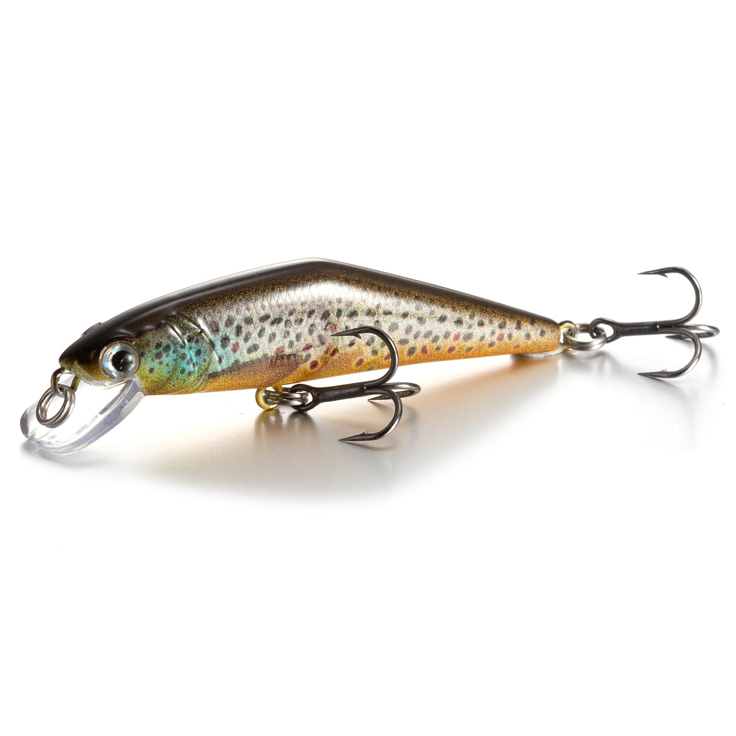 Warped Mouth Bass Dummy Bait