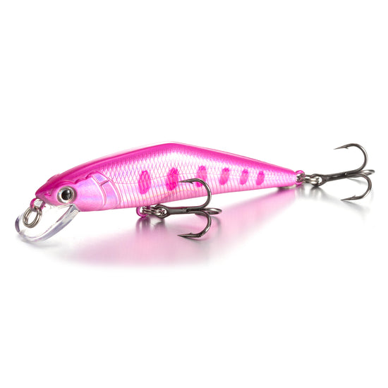 Warped Mouth Bass Dummy Bait