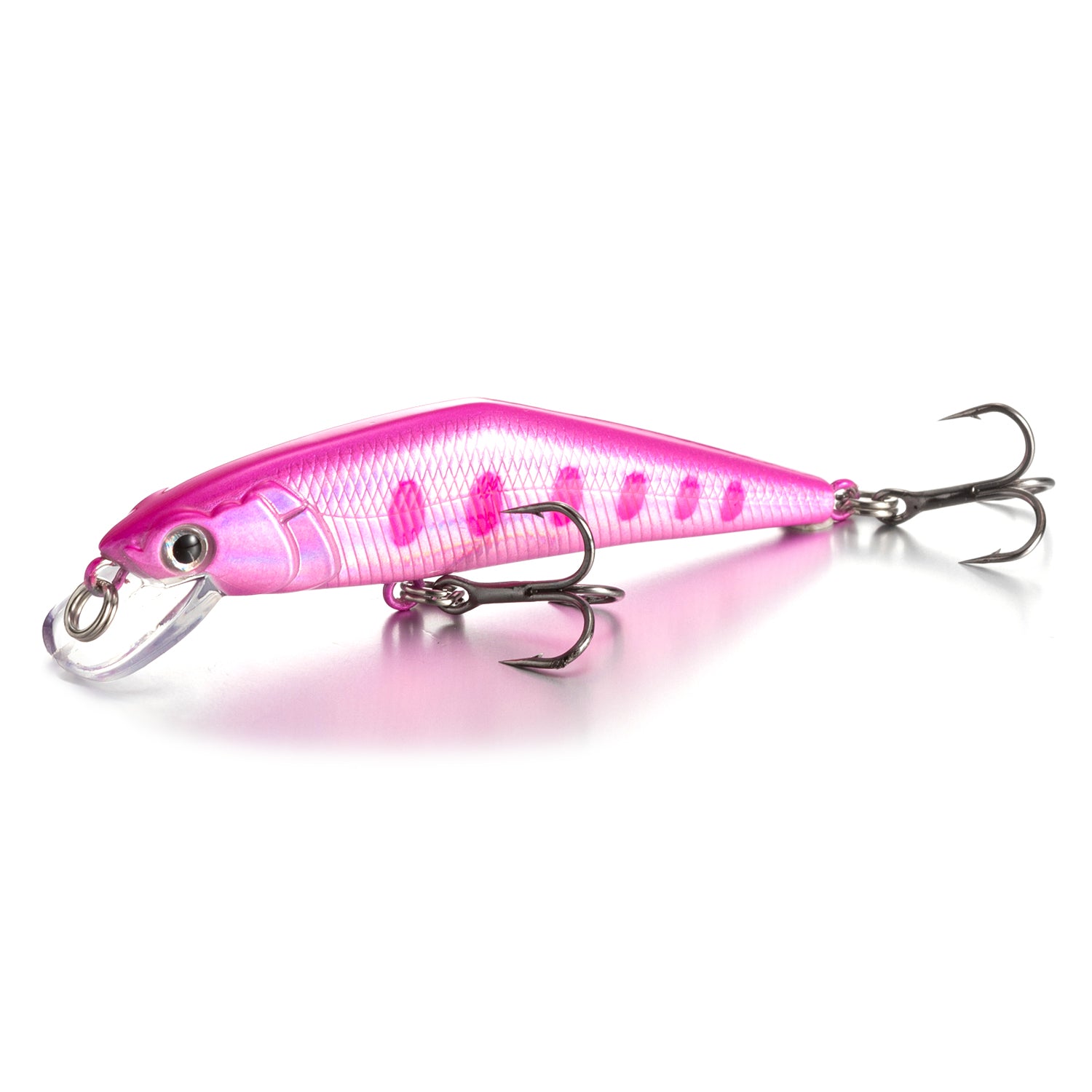 Warped Mouth Bass Dummy Bait