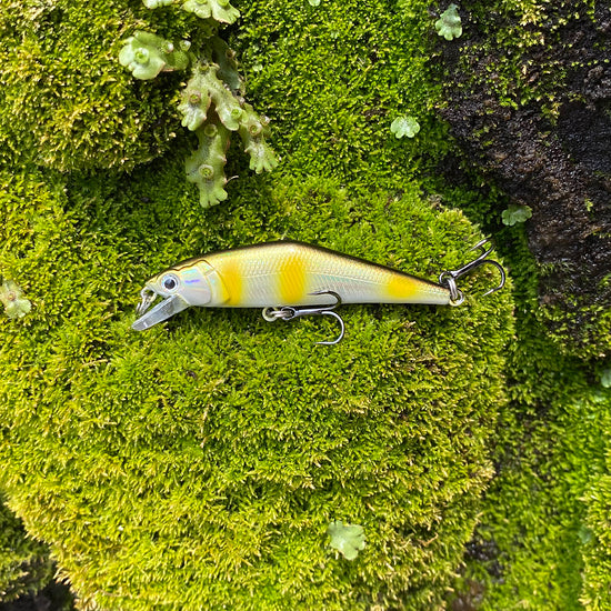 Warped Mouth Bass Dummy Bait