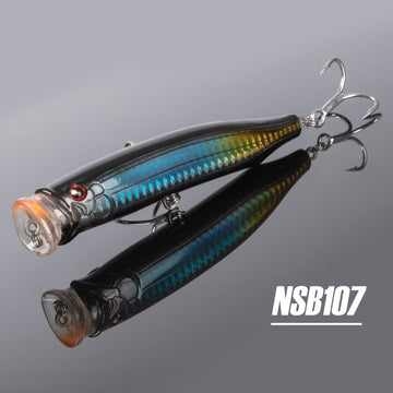 NSB107