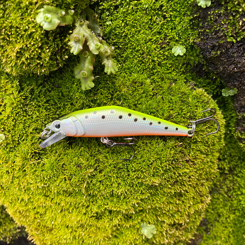 Warped Mouth Bass Dummy Bait
