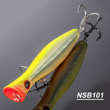 NSB101